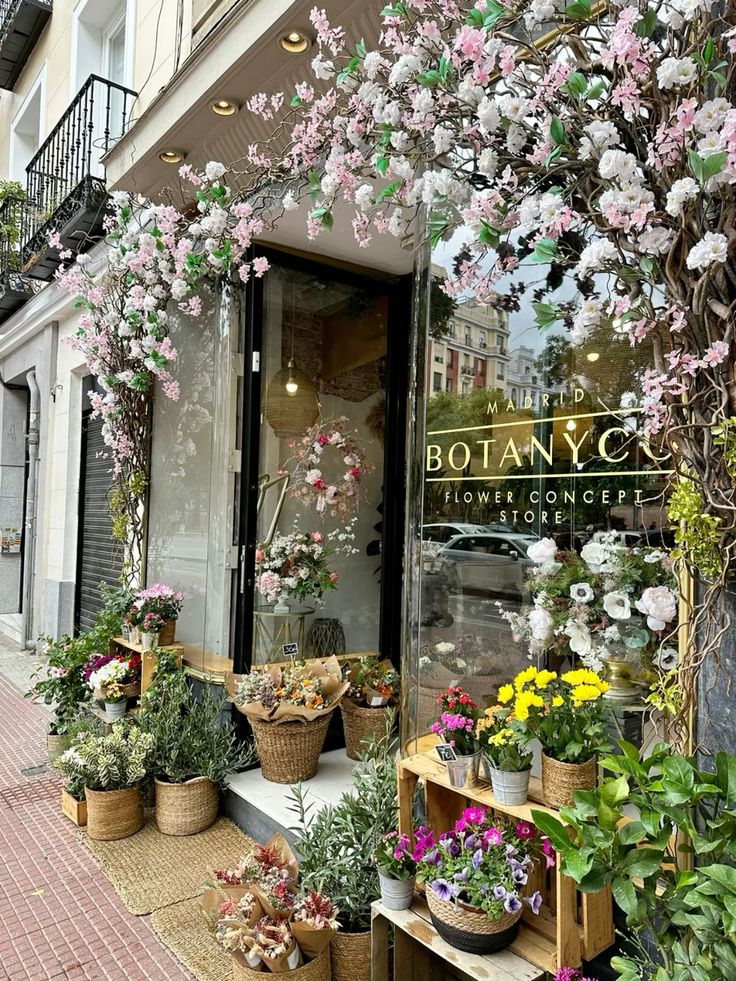 BotaniakyKintaky